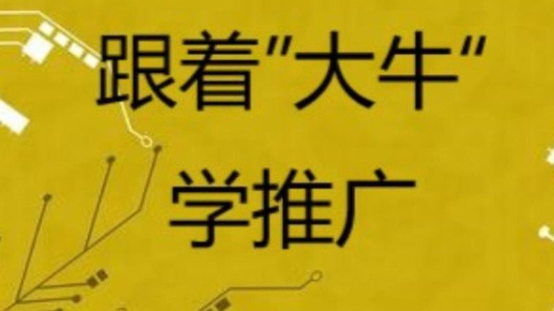 电商全网营销策略：揭秘全网营销背后的秘密